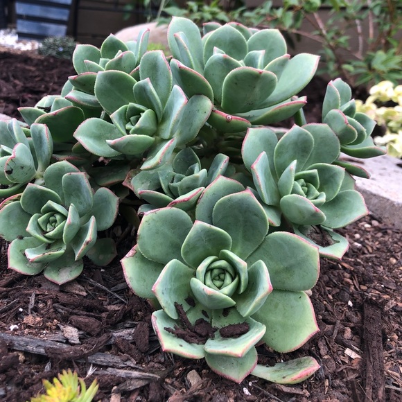 Meet the Posher Kasia - Picture 3 of 16